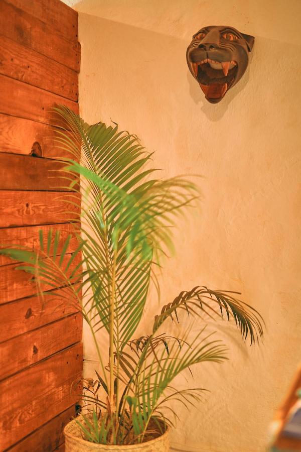 Blue Pepper Beds Sayulita Hostel Luaran gambar